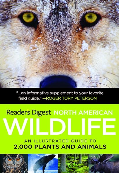 Cover of North American Wildlife: An Illustrated Guide to 2,000 Plants and Animals