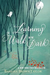 Learning to Walk in the Dark