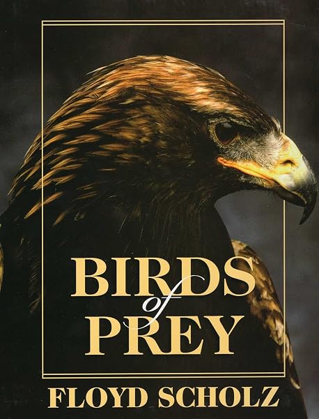 Cover of Birds of Prey
