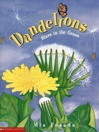 Cover of Dandelions: Stars in the Grass