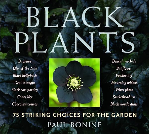 Cover of Black Plants: 75 Striking Choices for the Garden