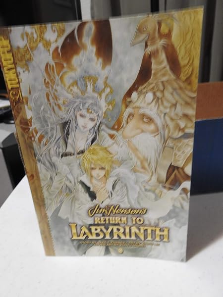 Cover of Return to Labyrinth Volume 2