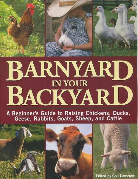 Cover of Barnyard in Your Backyard: A Beginner's Guide to Raising Chickens, Ducks, Geese, Rabbits, Goats, Sheep, and Cattle