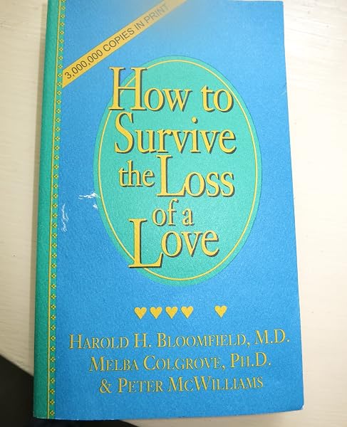 Cover of How to Survive the Loss of a Love