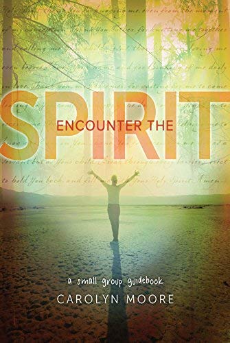Cover of Encounter the Spirit - A Small Group Guidebook