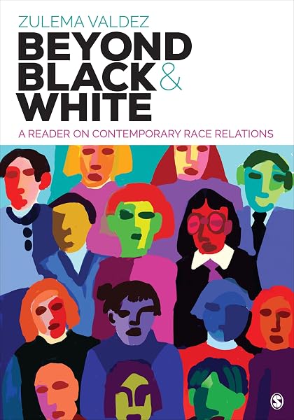 Cover of Beyond Black and White: A Reader on Contemporary Race Relations