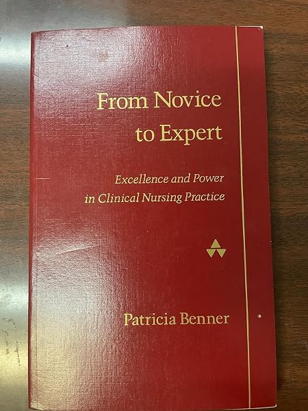 Cover of From Novice to Expert: Excellence and Power in Clinical Nursing Practice