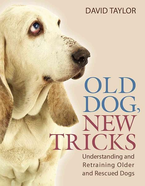 Cover of Old Dog, New Tricks: Understanding and Retraining Older and Rescued Dogs
