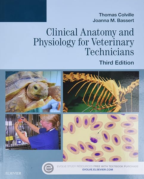 Cover of Clinical Anatomy and Physiology for Veterinary Technicians