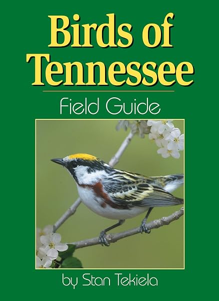 Cover of Birds of Tennessee Field Guide