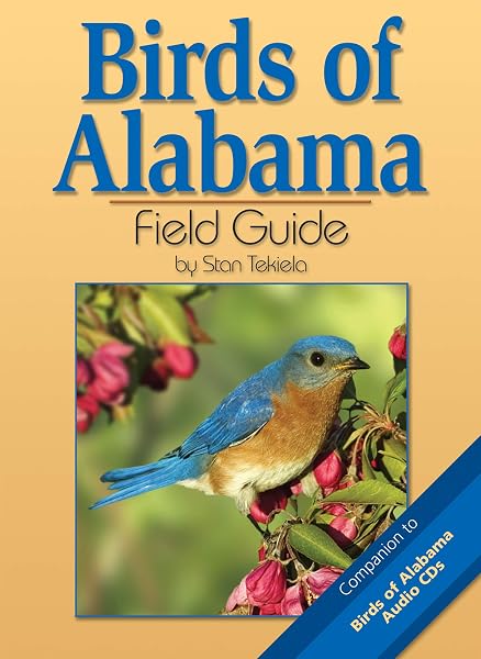 Cover of Birds of Alabama Field Guide (Bird Identification Guides)