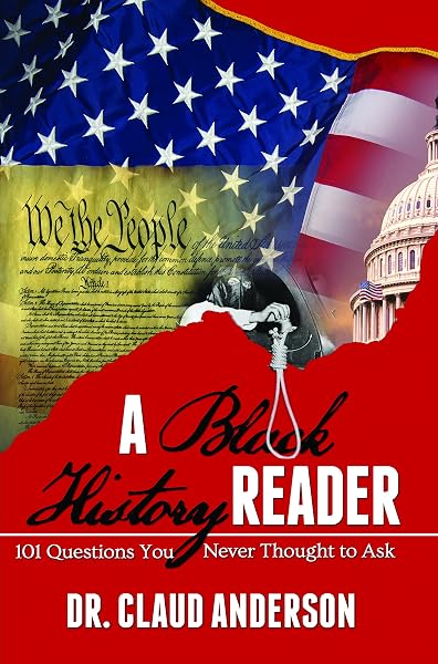 Cover of A Black History Reader: 101 Question You Never Thought to Ask