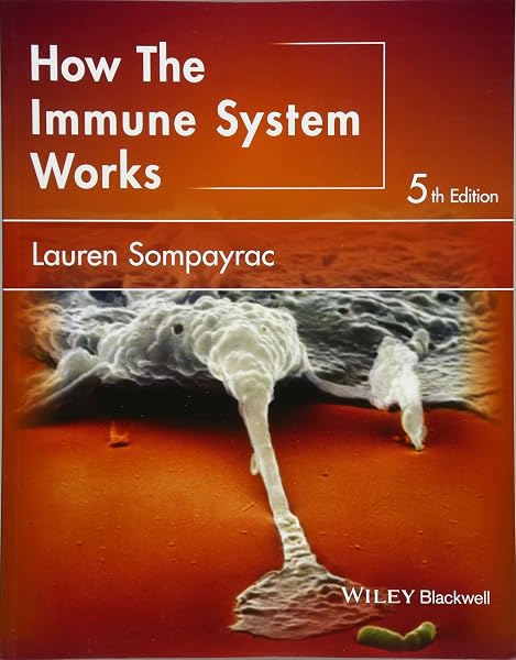 Cover of How the Immune System Works