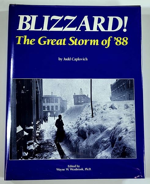 Cover of Blizzard: The Great Storm of 88