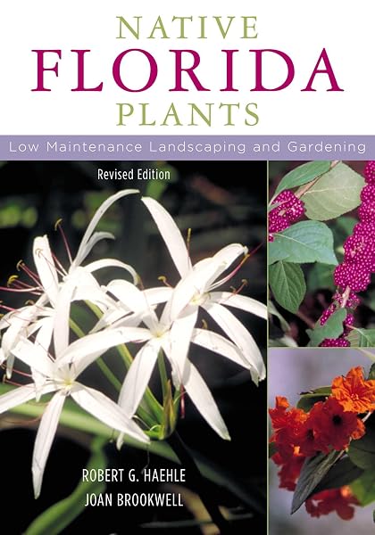 Cover of Native Florida Plants: Low Maintenance Landscaping and Gardening