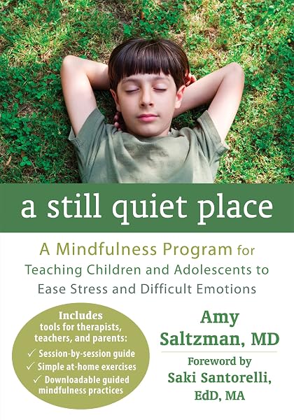 Cover of A Still Quiet Place: A Mindfulness Program for Teaching Children and Adolescents to Ease Stress and Difficult Emotions