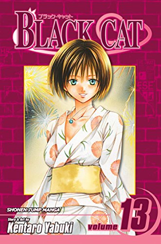 Cover of Black Cat, Vol. 13