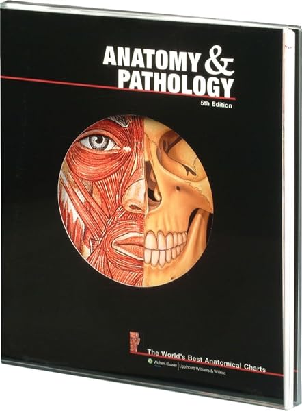 Cover of Anatomy & Pathology: The World's Best Anatomical Charts