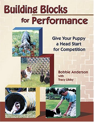 Cover of Building Blocks for Performance