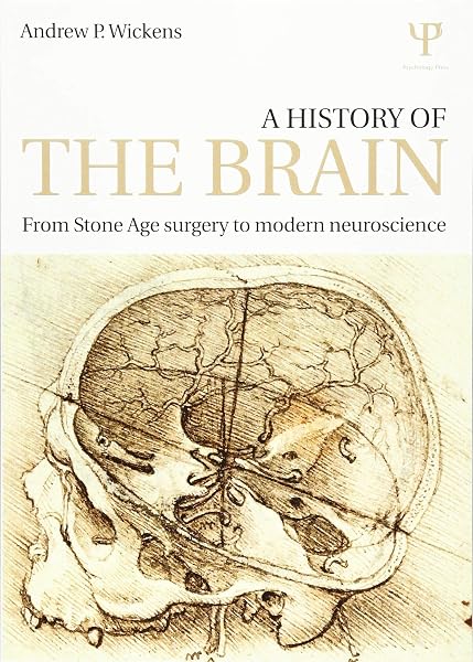 Cover of A History of the Brain: From Stone Age surgery to modern neuroscience